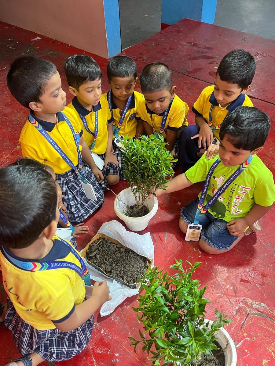 Planting saplings in the school garden
